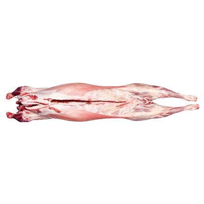 Grass Fed Lamb Full Body ~22kg