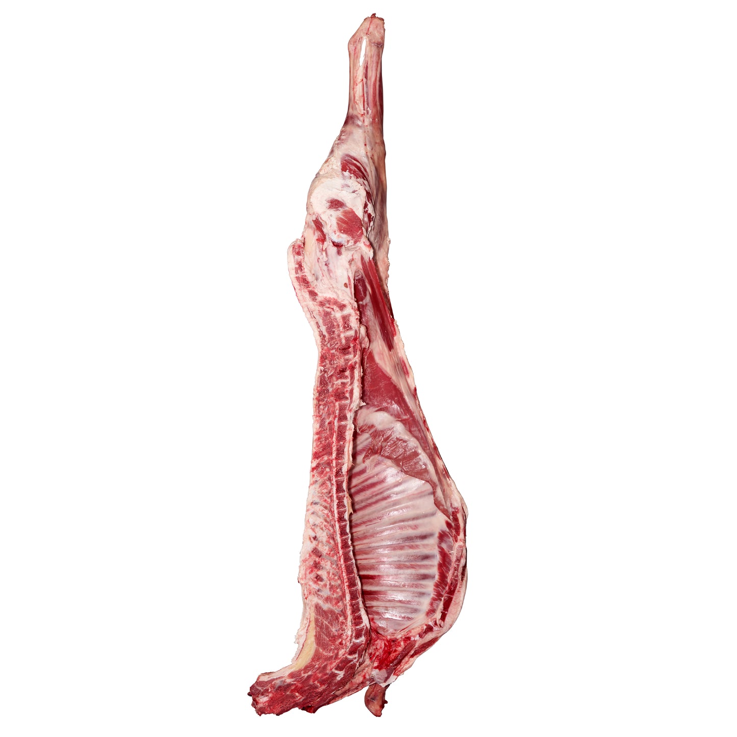 Grass Fed Lamb 1/2 Body ~11kg