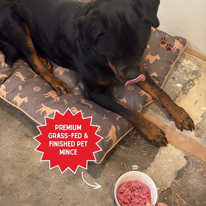 Pet Mince